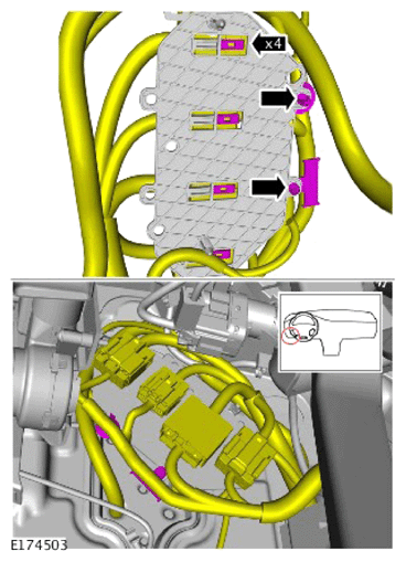G14008589