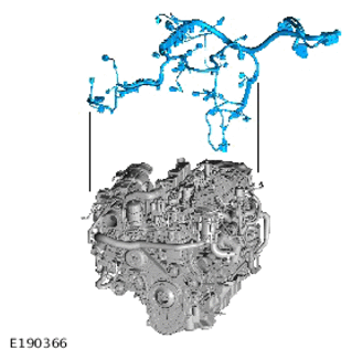 G14009324