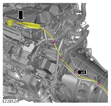 G14009362