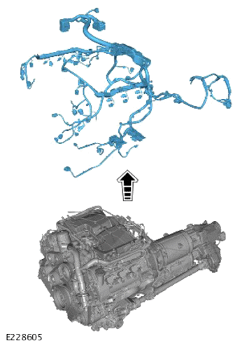 G14009380