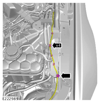 G14009584