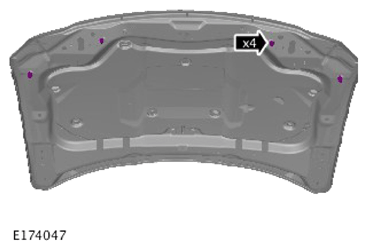 G14009884
