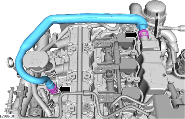 G14055584