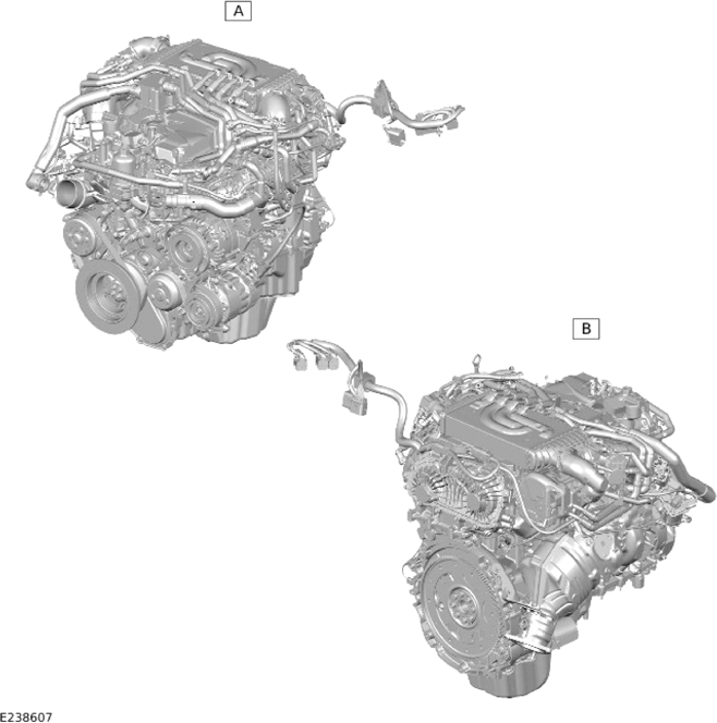 G14055960