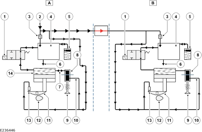 G14055981