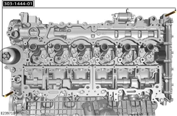 G14056043