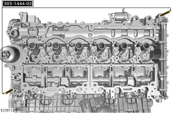 G14056044