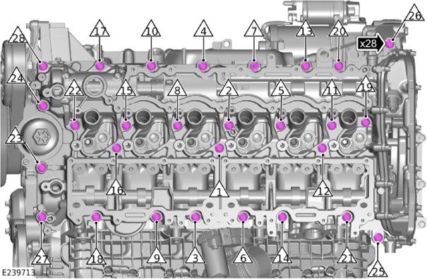 G14056046