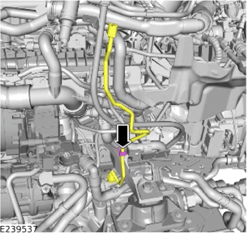 G14056438