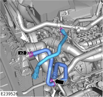 G14056509