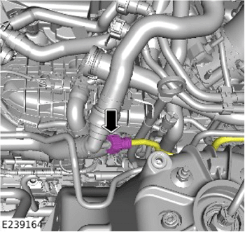 G14056520