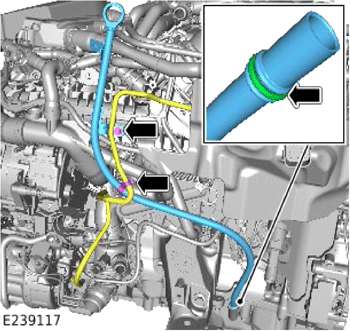 G14056562