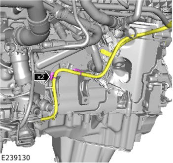 G14056563