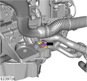 G14056564