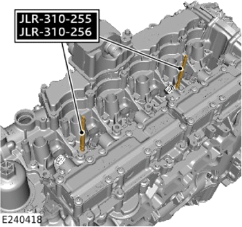 G14056849