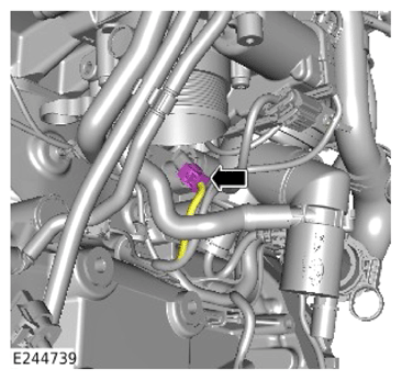 G14058157