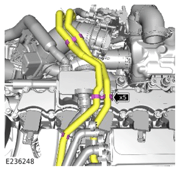 G14060895