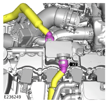 G14060896