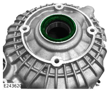 G14062119