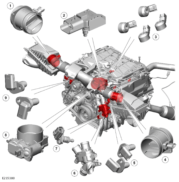 G14066186