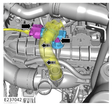 G14066890