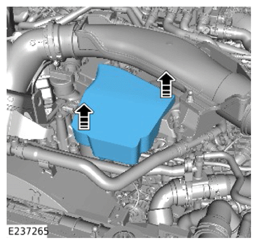 G14066925