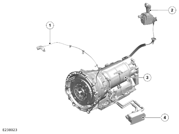 G14067578