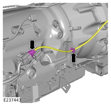 G14067742