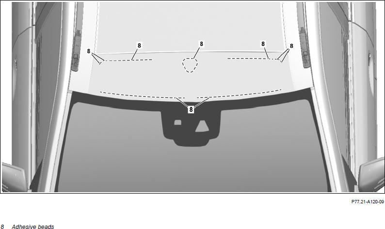 G14136662