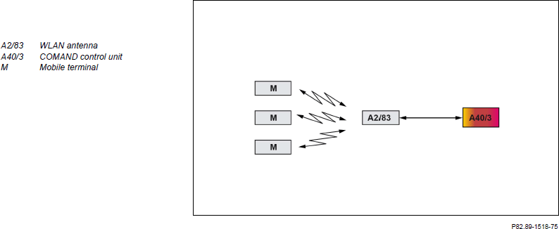 G14136896