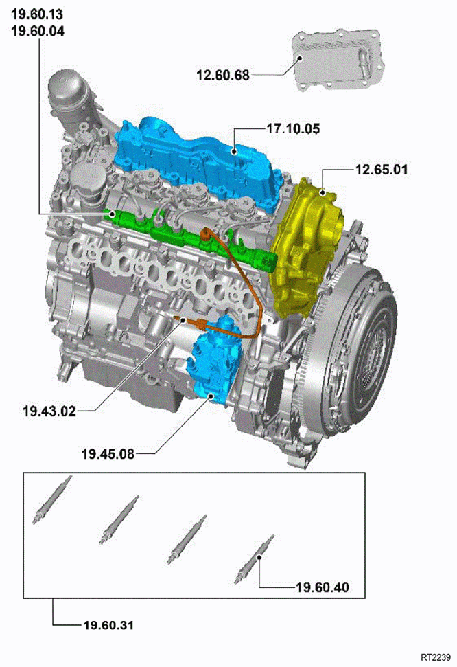G14144286