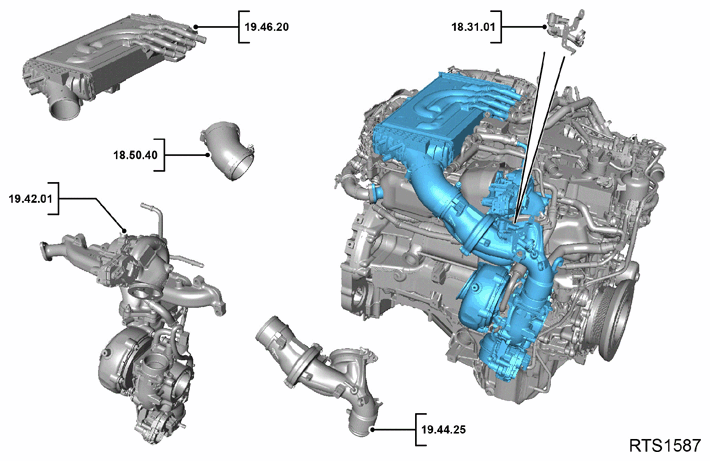 G14169016