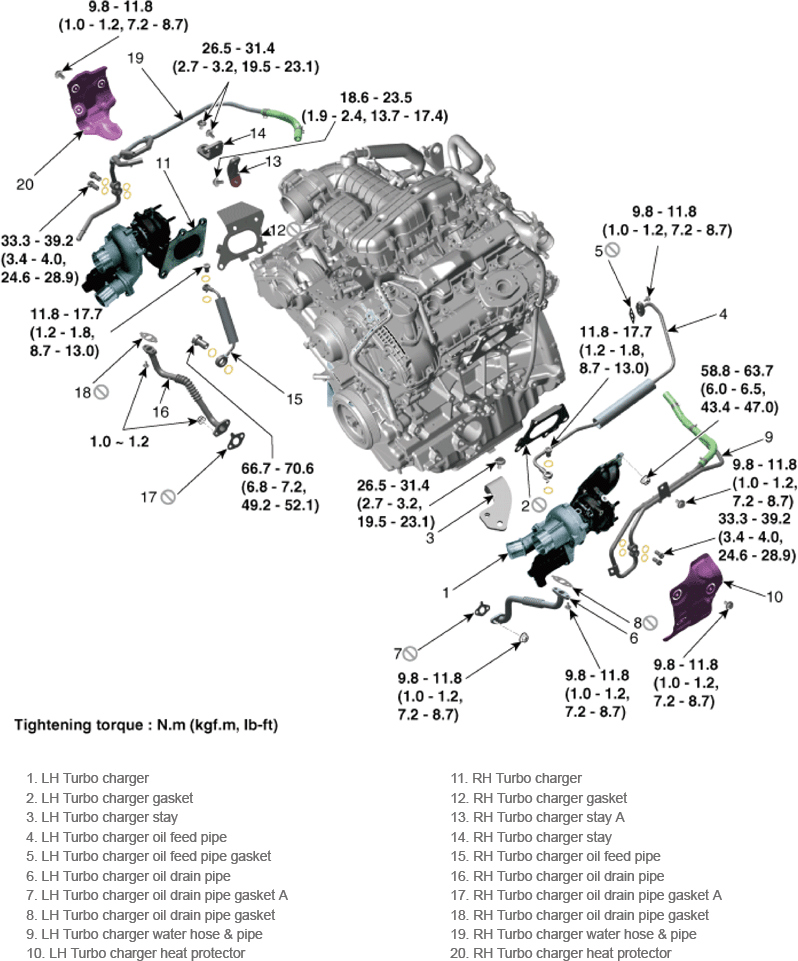 G14178981