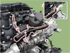 G14178990
