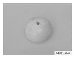 G14184274