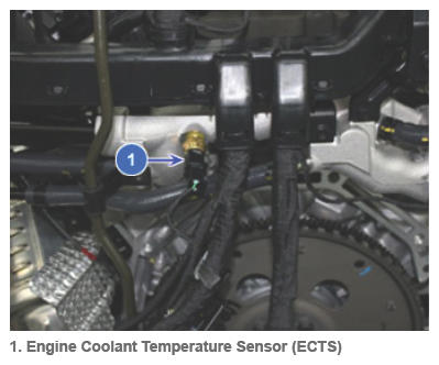 G14204418