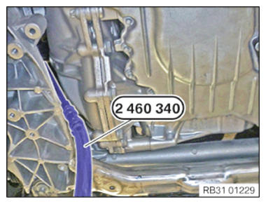 G14205384