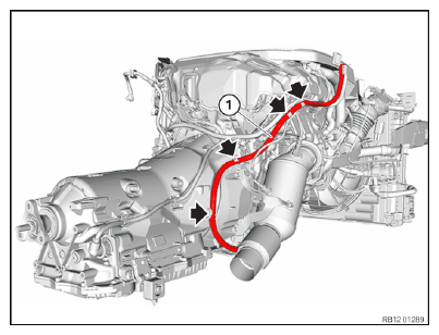 G14206958