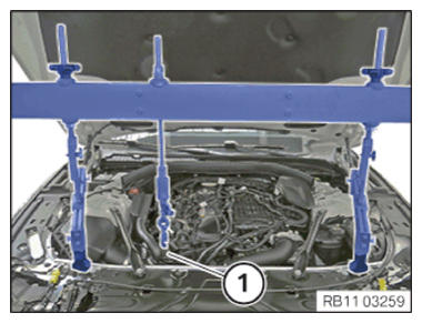 G14225389