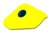 G14246602
