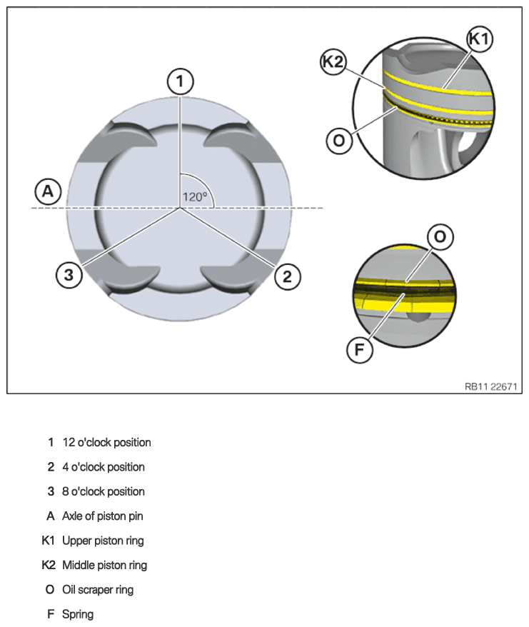 G14253262