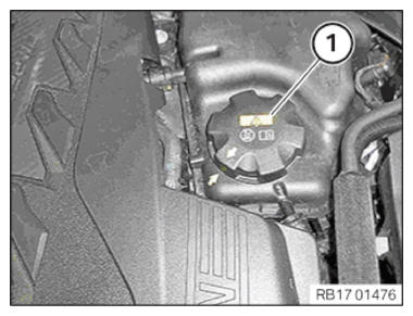G14261839
