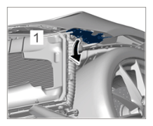 G14263908