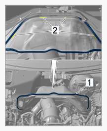 G14274794