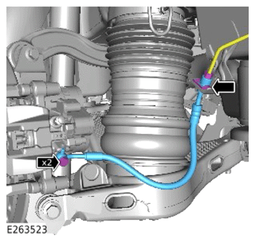 G14279938