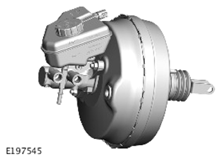 G14279956