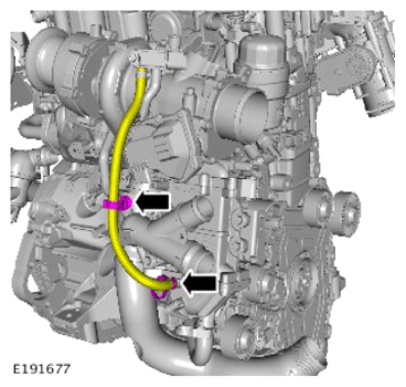 G14281436