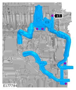 G14281453