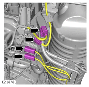 G14281506
