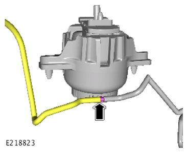 G14281516